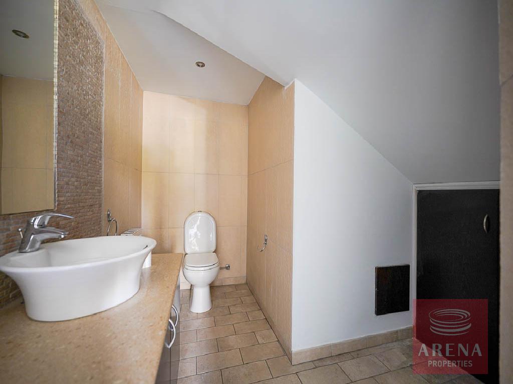 Cozy House in Livadia - guest wc