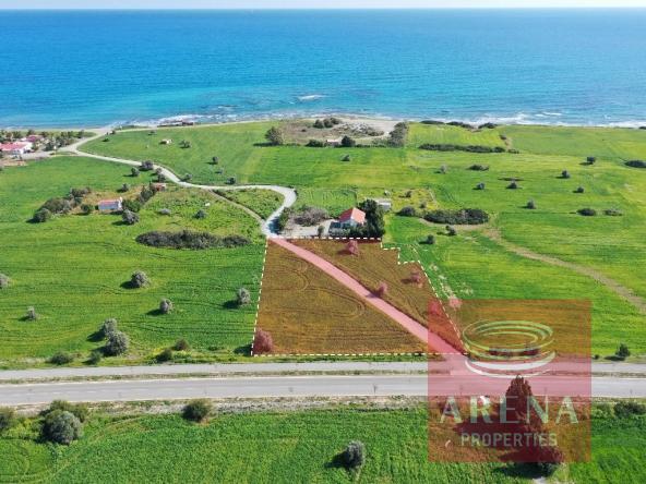 land for sale in mazotos