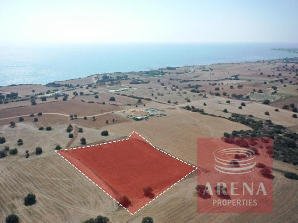 land in agios theodoros