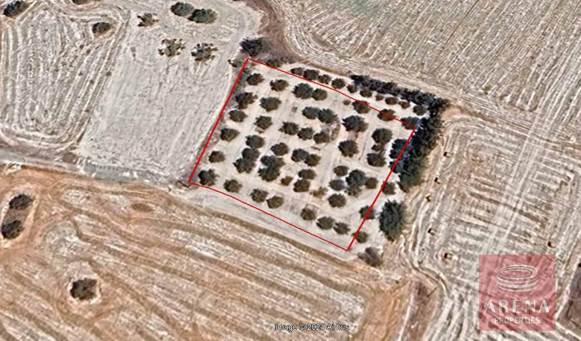 residential land in Kalo chorio