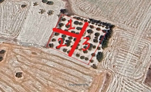 3 LAND KALO CHORIO 8755