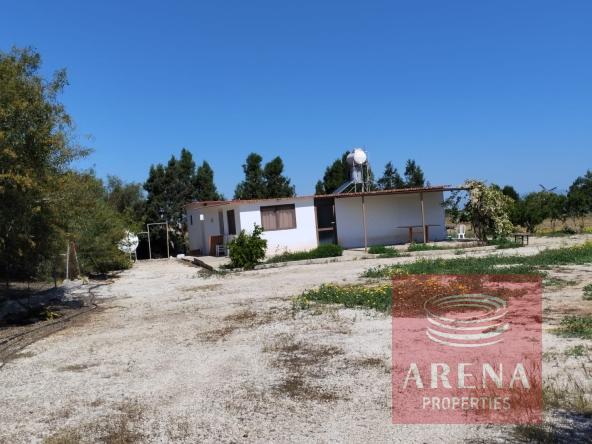 1 BUNGALOW IN PARALIMNI 9195 2